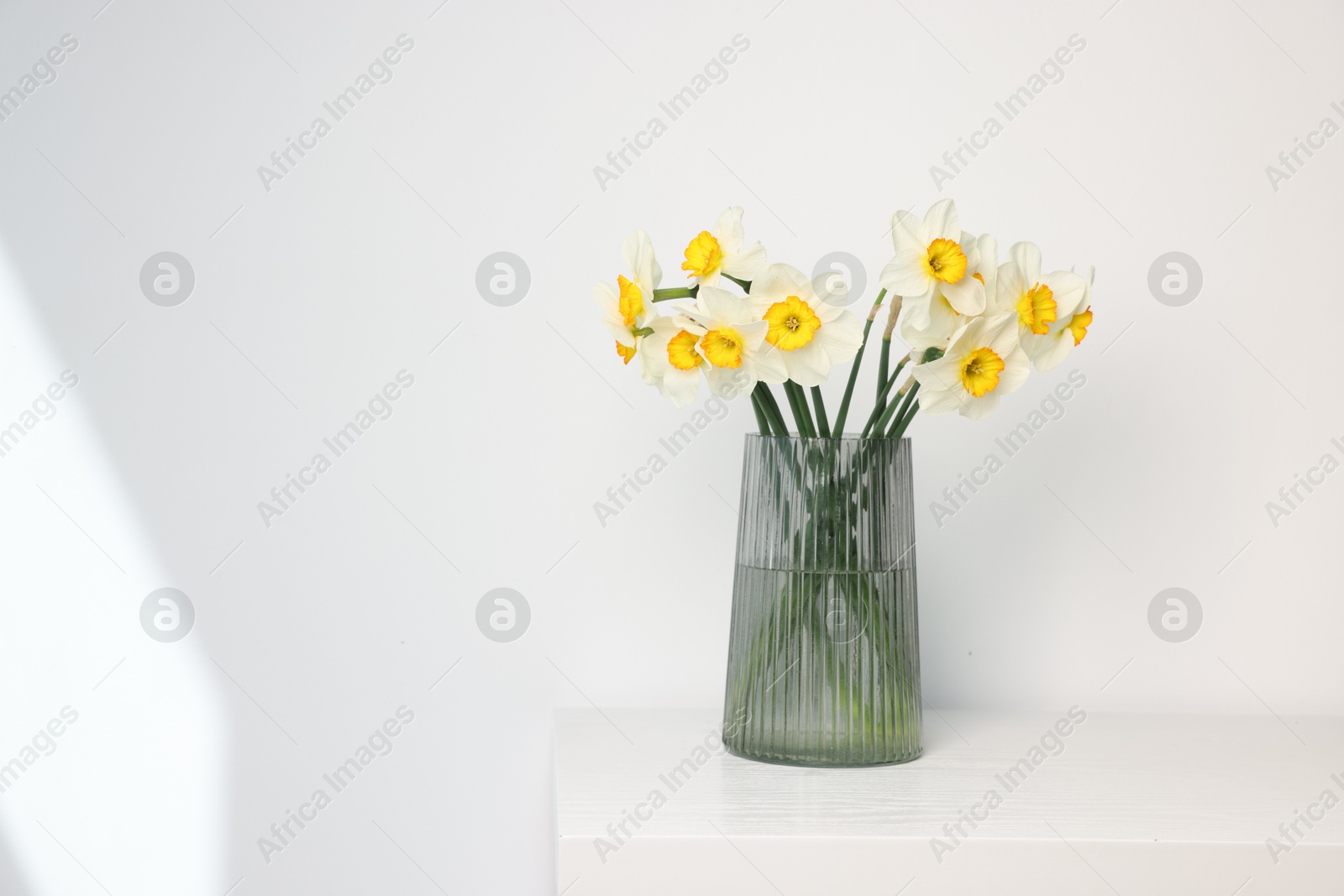 Beautiful daffodils in vase on white wooden table indoors, space for text Photo of Beautiful daffodils in vase on white wooden table indoors, space for text