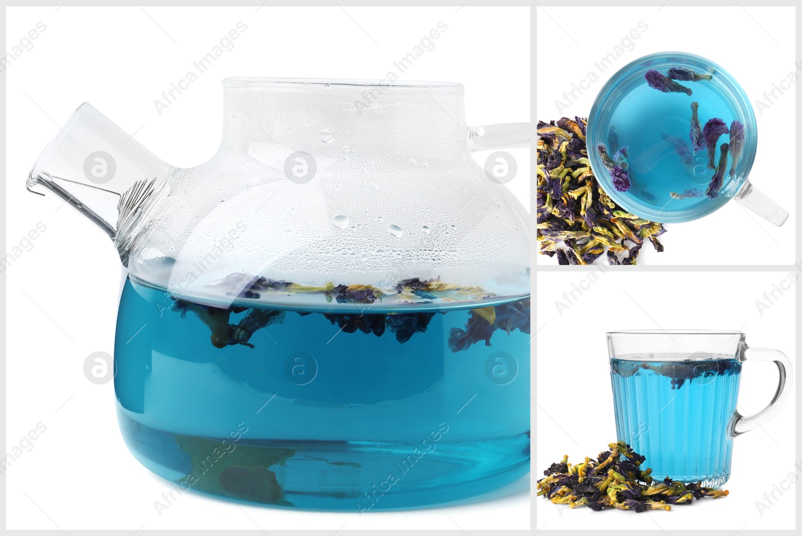 Butterfly pea tea brewed in glassware on white background, collage Image of Butterfly pea tea brewed in glassware on white background, collage