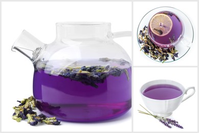 Image of Butterfly pea tea on white background, collage