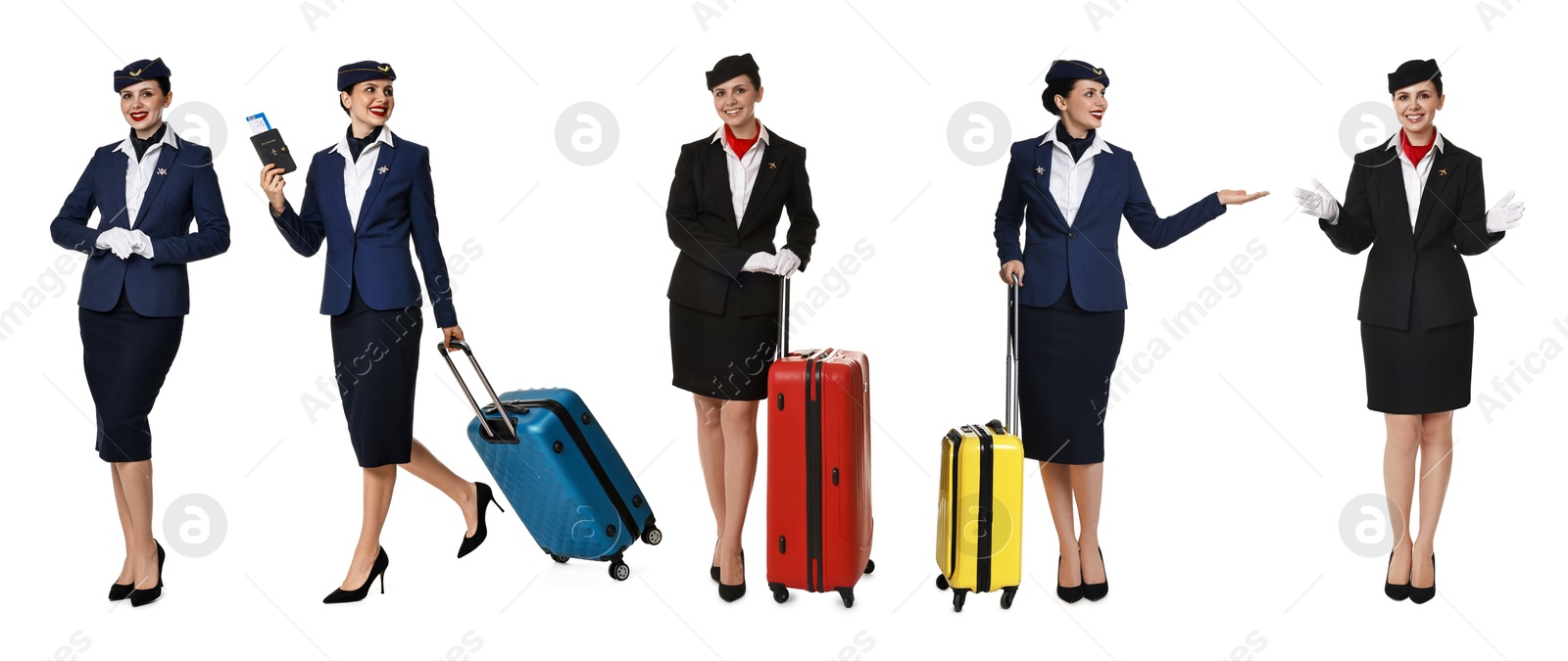 Stewardess in uniform on white background, collage of full length portraits Image of Stewardess in uniform on white background, collage of full length portraits