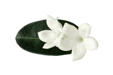 Photo of Beautiful aromatic jasmine flowers and leaf isolated on white