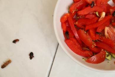Photo of Cockroaches and vegetables in bowl on table, top view