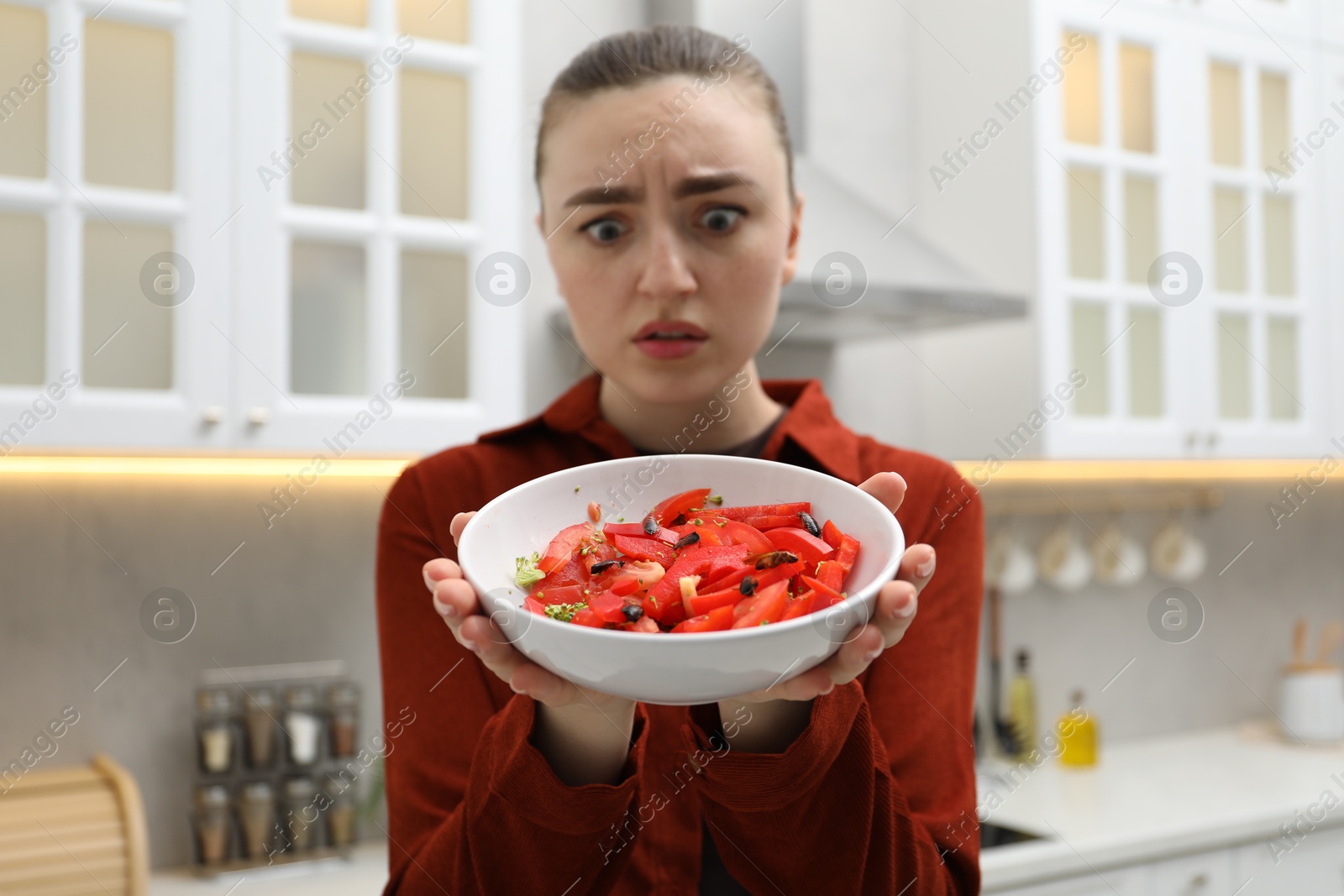 Woman holding bowl with vegetables and cockroaches in kitchen, selective focus Photo of Woman holding bowl with vegetables and cockroaches in kitchen, selective focus