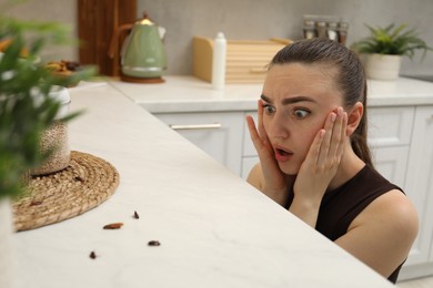 Photo of Woman looking at cockroaches on countertop in kitchen