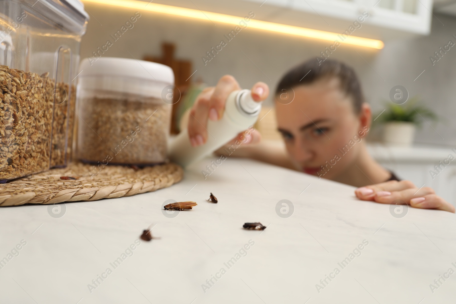 Woman spraying insecticide onto cockroaches in kitchen, selective focus Photo of Woman spraying insecticide onto cockroaches in kitchen, selective focus
