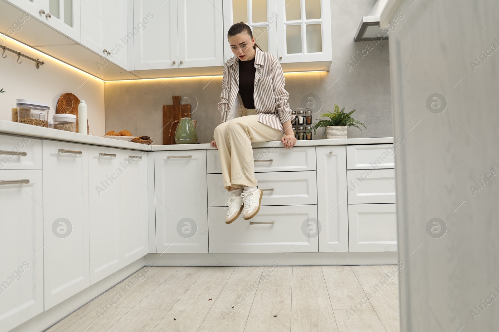 Emotional woman looking in disgust at cockroaches on floor indoors. Pest problem Photo of Emotional woman looking in disgust at cockroaches on floor indoors. Pest problem