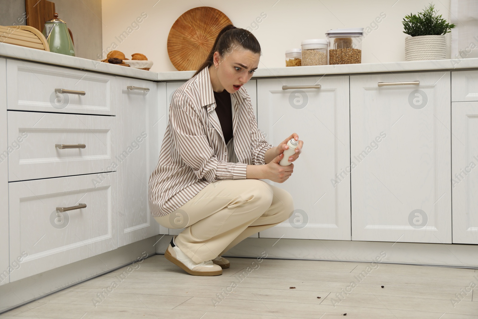Woman spraying insecticide onto cockroaches on floor in kitchen. Pest problem Photo of Woman spraying insecticide onto cockroaches on floor in kitchen. Pest problem