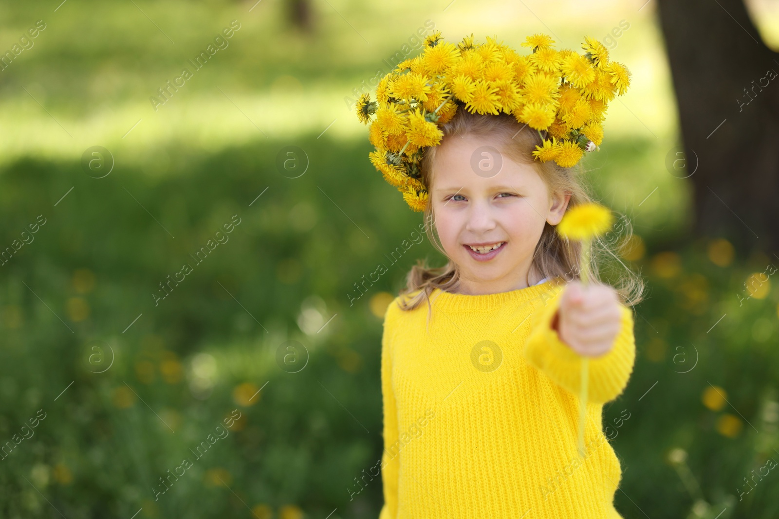 Cute little girl with beautiful flower wearing wreath of dandelions in park, space for text Photo of Cute little girl with beautiful flower wearing wreath of dandelions in park, space for text