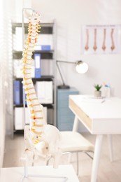 Photo of Human spine model on table in clinic