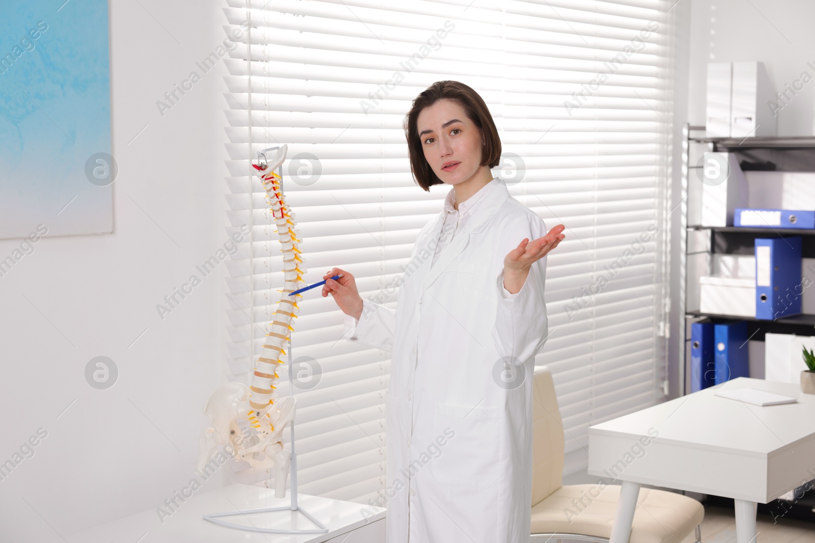 Doctor pointing at sections of human spine model in clinic Photo of Doctor pointing at sections of human spine model in clinic