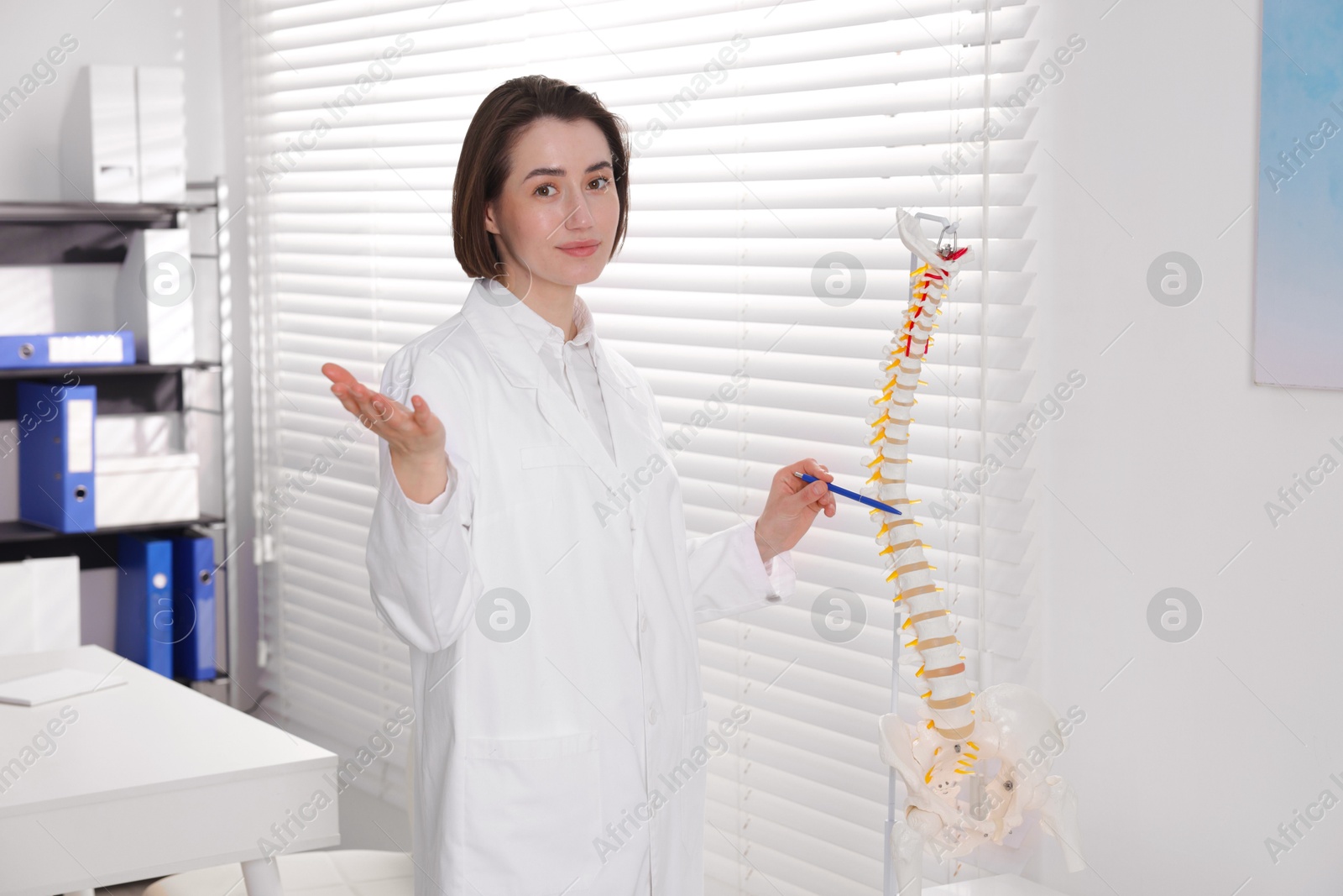 Doctor pointing at sections of human spine model in clinic Photo of Doctor pointing at sections of human spine model in clinic