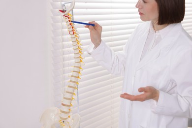 Photo of Doctor pointing at sections of human spine model in clinic, closeup