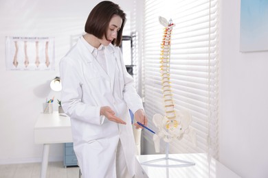 Photo of Doctor pointing at sections of human spine model in clinic