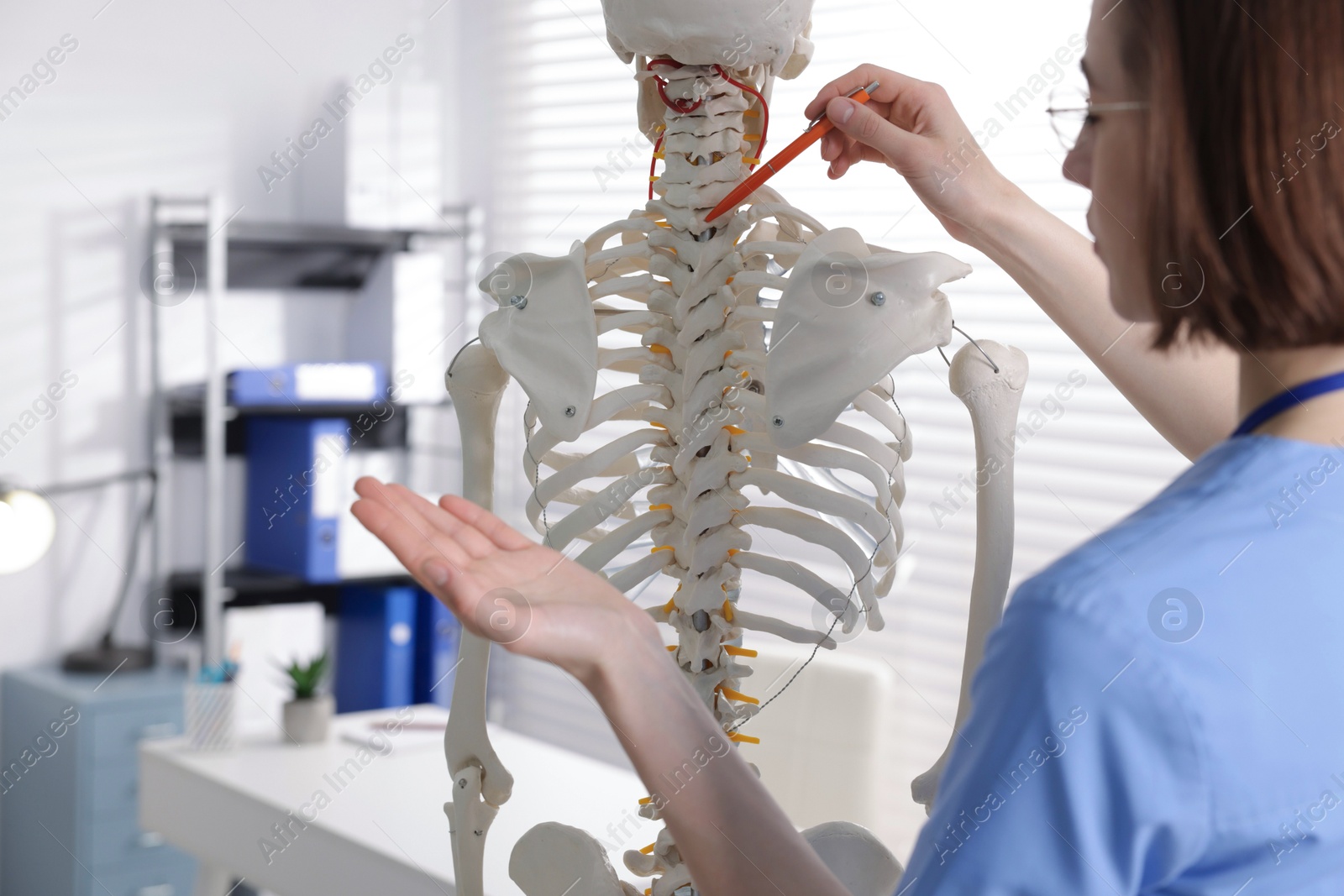 Doctor pointing at parts of human skeleton model in clinic Photo of Doctor pointing at parts of human skeleton model in clinic