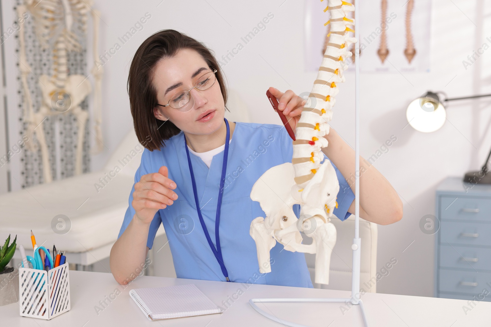 Doctor pointing at sections of human spine model at desk in clinic Photo of Doctor pointing at sections of human spine model at desk in clinic