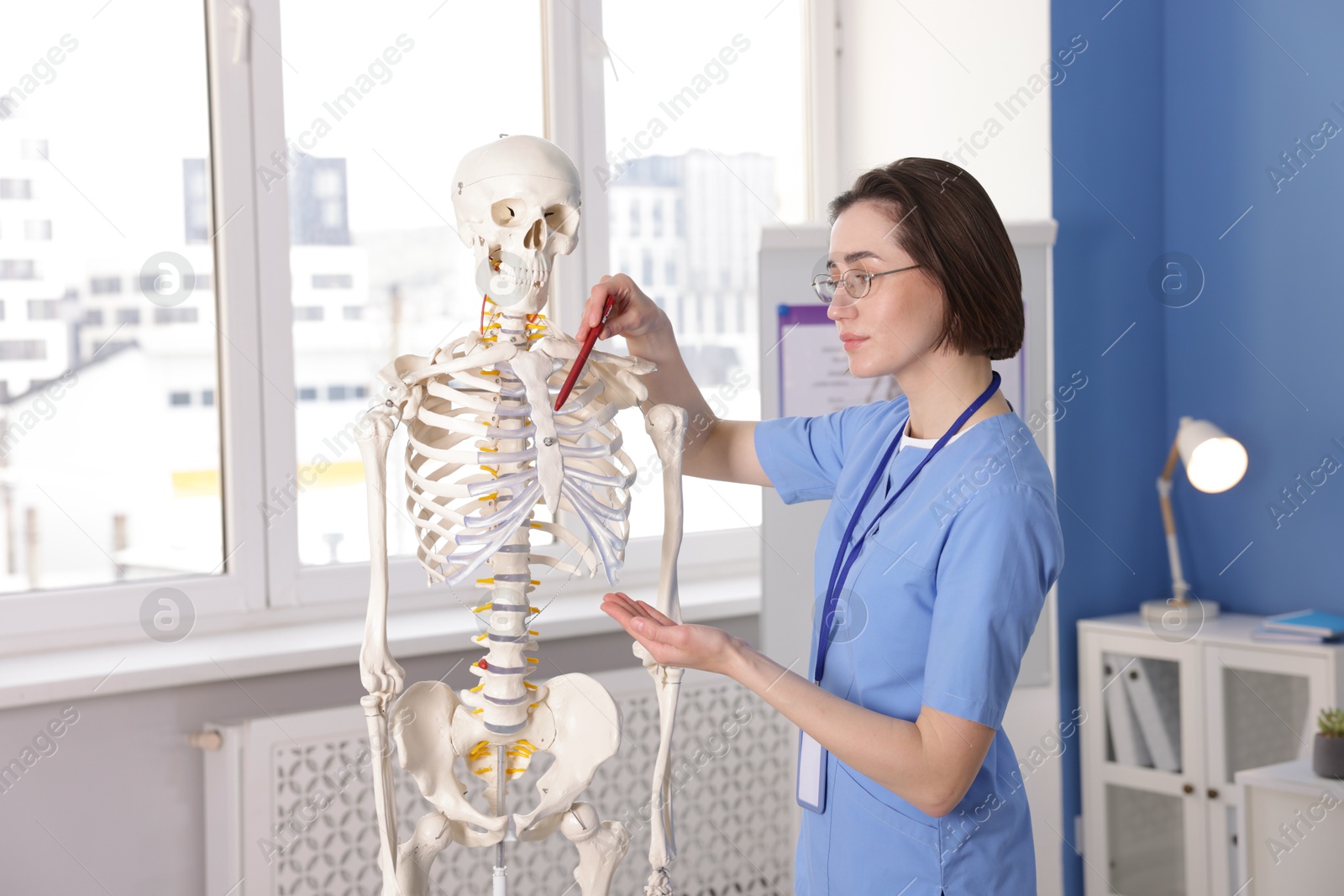Doctor pointing at sections of human skeleton model in clinic Photo of Doctor pointing at sections of human skeleton model in clinic