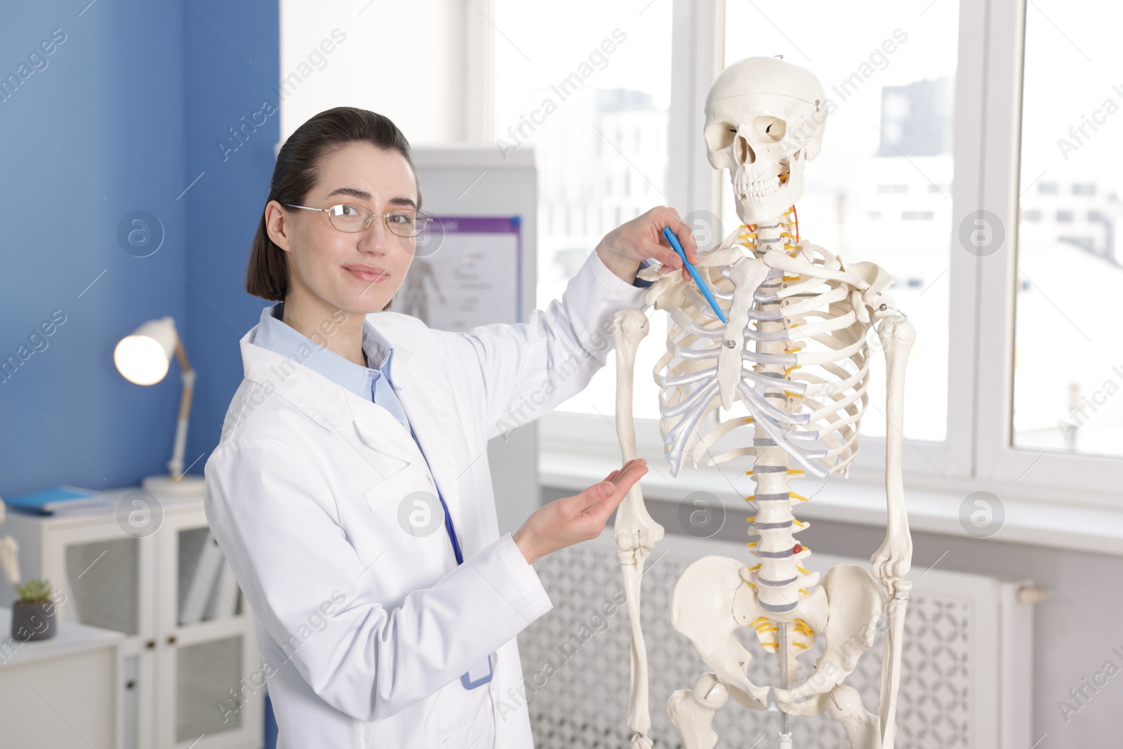 Doctor pointing at sections of human skeleton model in clinic Photo of Doctor pointing at sections of human skeleton model in clinic