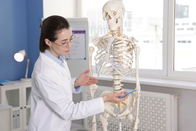 Photo of Doctor pointing at sections of human skeleton model in clinic