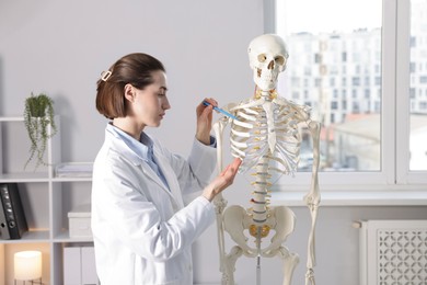 Photo of Doctor pointing at sections of human skeleton model in clinic