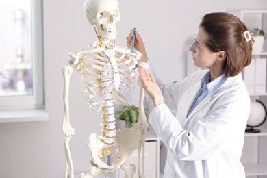 Photo of Doctor pointing at sections of human skeleton model in clinic