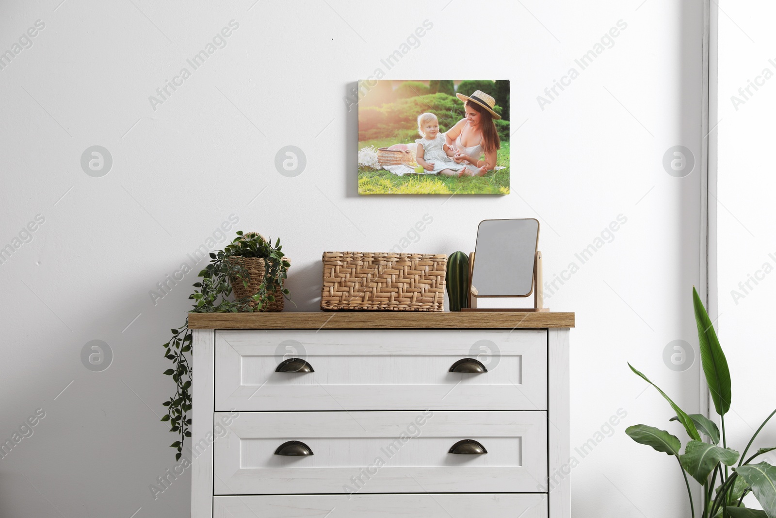 Dresser with stylish decor and houseplants near white wall indoors Photo of Dresser with stylish decor and houseplants near white wall indoors