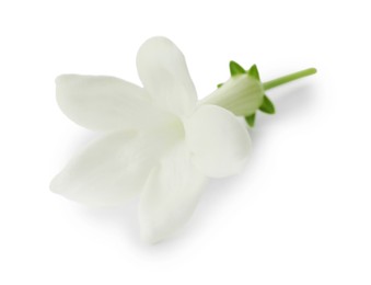 Photo of Beautiful aromatic jasmine flower isolated on white