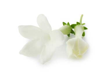 Photo of Beautiful aromatic jasmine flowers isolated on white