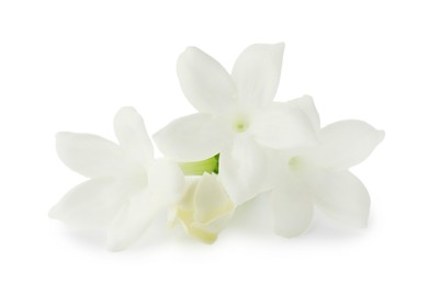 Photo of Beautiful aromatic jasmine flowers isolated on white