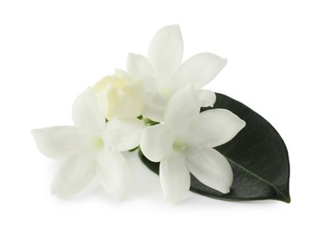 Photo of Beautiful aromatic jasmine flowers and leaf isolated on white