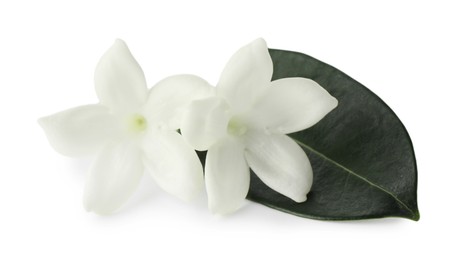 Photo of Beautiful aromatic jasmine flowers and leaf isolated on white