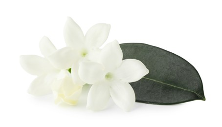 Photo of Beautiful aromatic jasmine flowers and leaf isolated on white