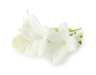 Photo of Beautiful aromatic jasmine flowers isolated on white