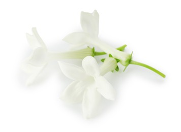 Photo of Beautiful aromatic jasmine flowers isolated on white