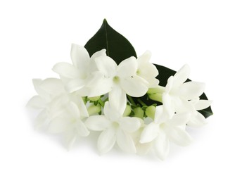Photo of Beautiful aromatic jasmine flowers and leaves isolated on white