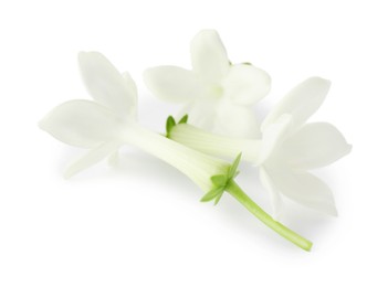 Photo of Beautiful aromatic jasmine flowers isolated on white