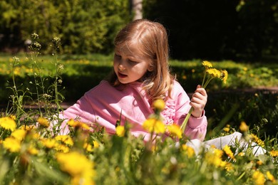 Photo of Cute little girl picking beautiful dandelions in park
