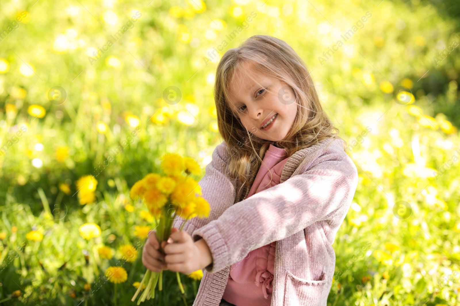Cute little girl with beautiful dandelions outdoors on sunny day Photo of Cute little girl with beautiful dandelions outdoors on sunny day