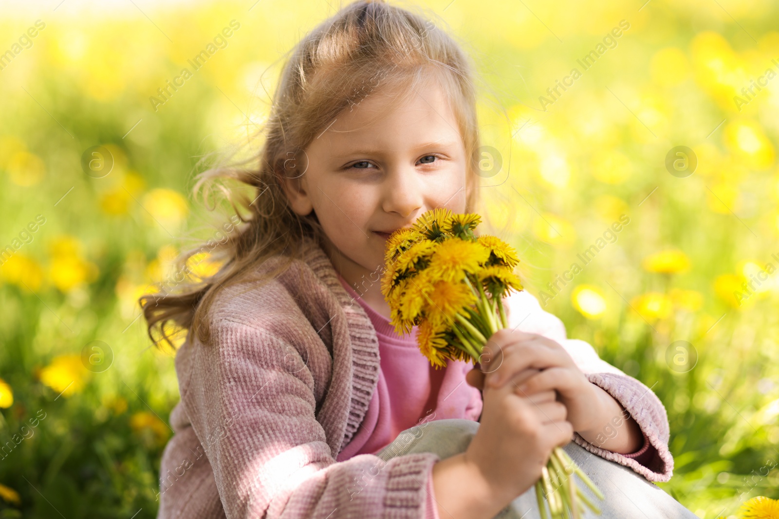 Cute little girl with beautiful dandelions outdoors on sunny day Photo of Cute little girl with beautiful dandelions outdoors on sunny day