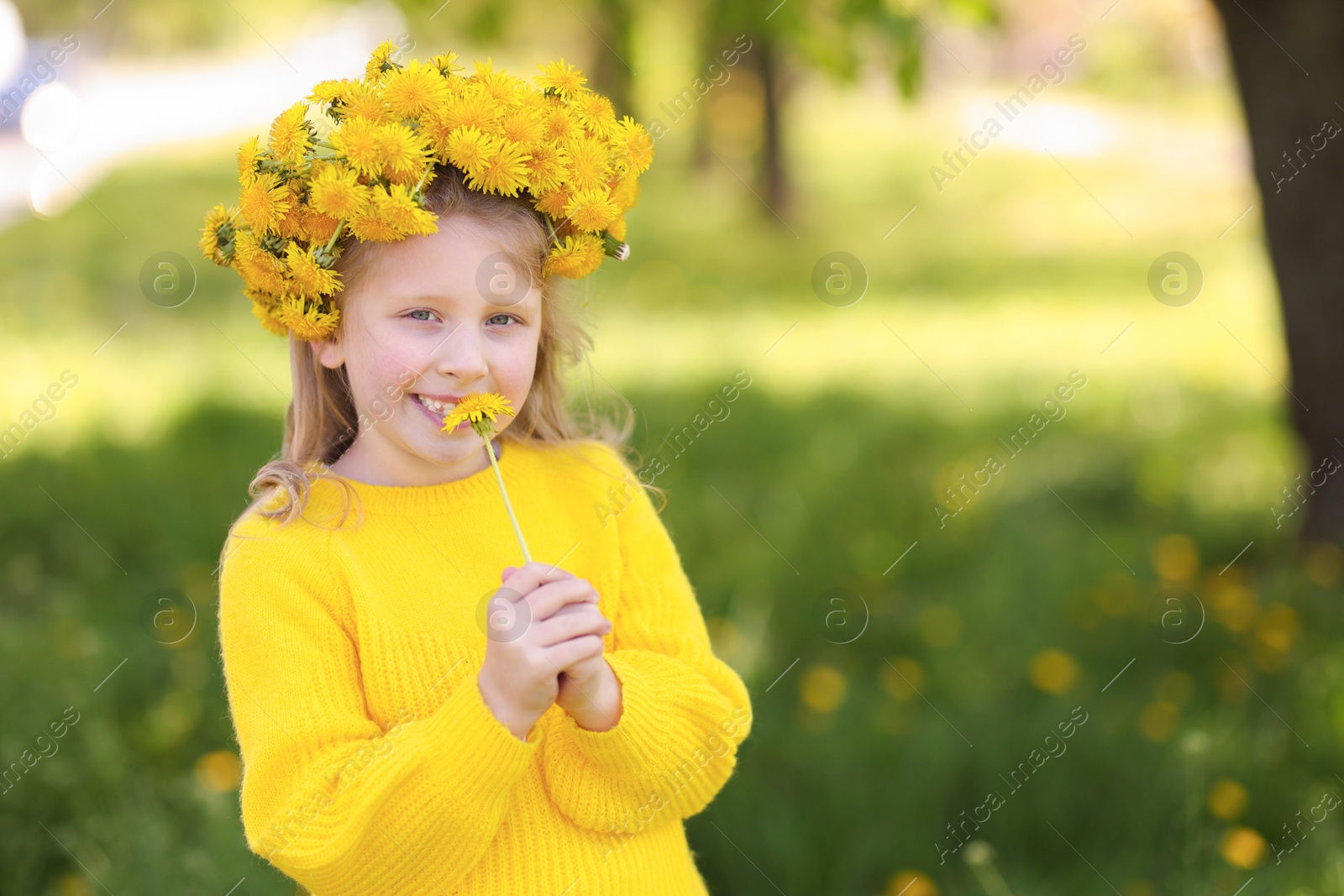 Cute little girl with beautiful flower wearing wreath of dandelions in park, space for text Photo of Cute little girl with beautiful flower wearing wreath of dandelions in park, space for text