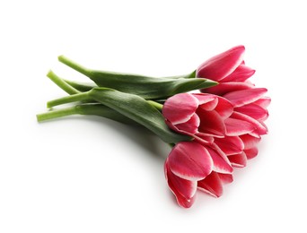 Photo of Beautiful pink tulip flowers on white background