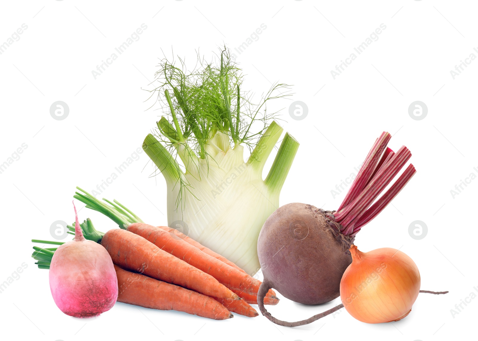 Different root vegetables isolated on white. Onion, beet, carrots, celery root, turnip Image of Different root vegetables isolated on white. Onion, beet, carrots, celery root, turnip