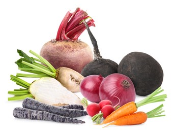Image of Different root vegetables isolated on white. Onion bulbs, beet, carrots, radishes, sugar beets, turnips