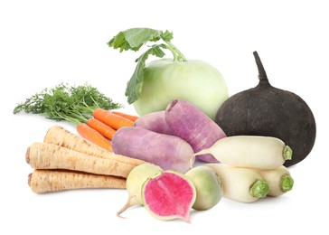 Image of Different root vegetables isolated on white. Turnips, carrots, kohlrabi, daikon radishes, parsley roots