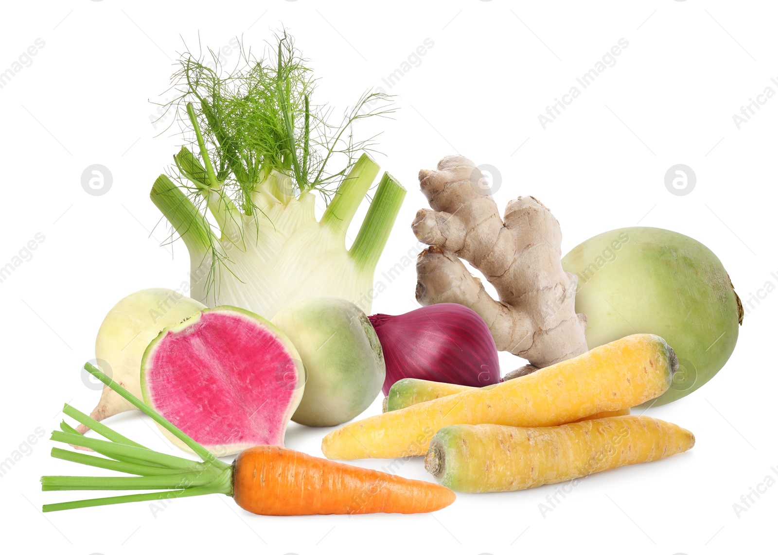 Different root vegetables isolated on white. Onion, carrots, celery root, ginger, turnips Image of Different root vegetables isolated on white. Onion, carrots, celery root, ginger, turnips