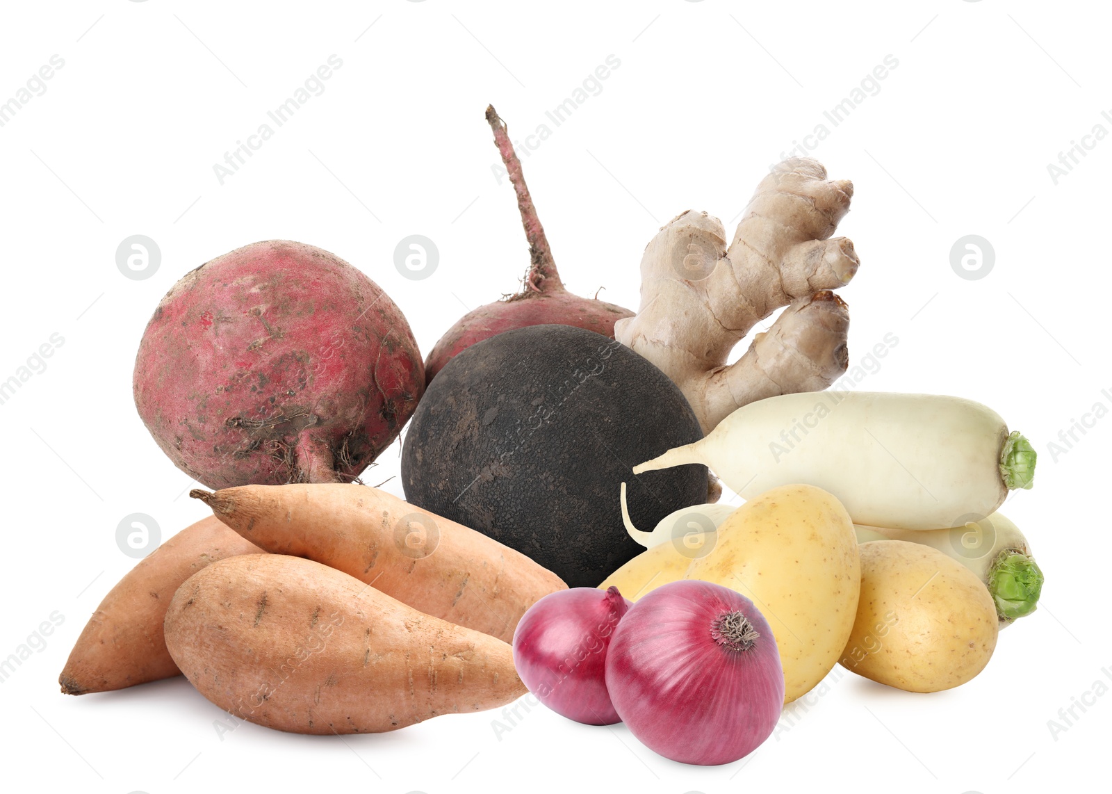 Different root vegetables isolated on white. Onion bulbs, beets, potatoes, ginger, turnips Image of Different root vegetables isolated on white. Onion bulbs, beets, potatoes, ginger, turnips
