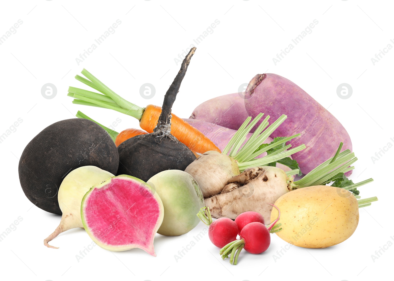 Different root vegetables isolated on white. Turnips, sugar beets, radishes, potato, carrots Image of Different root vegetables isolated on white. Turnips, sugar beets, radishes, potato, carrots