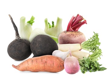 Image of Different root vegetables isolated on white. Turnips, fennel and garlic bulbs, sweet potato, beet