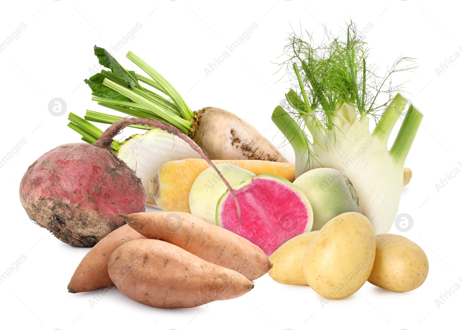 Different root vegetables isolated on white. Beets, potatoes, turnips, celery root, carrot Image of Different root vegetables isolated on white. Beets, potatoes, turnips, celery root, carrot