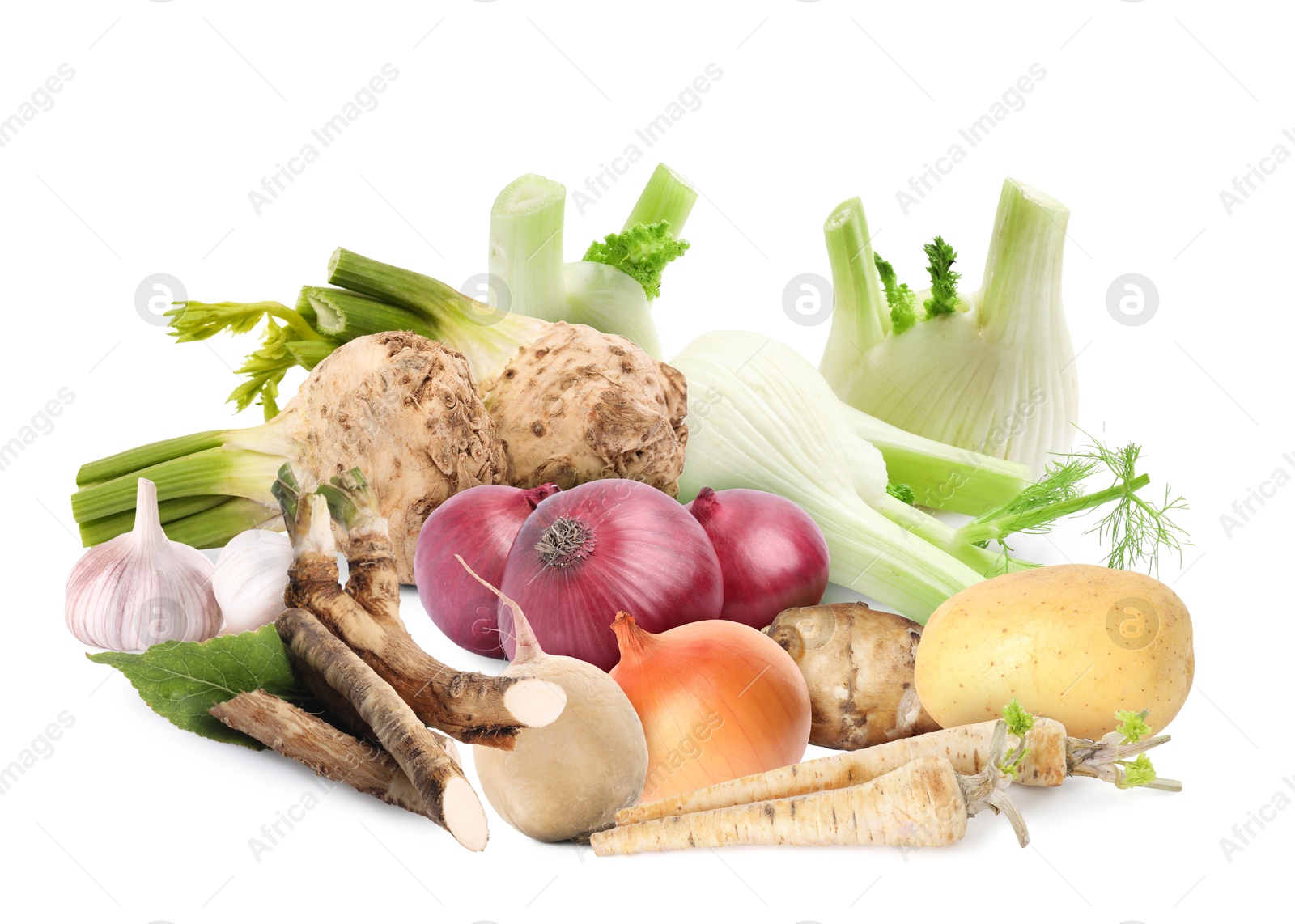Different root vegetables isolated on white. Onion, garlic and fennel bulbs, celery and horseradish roots, potato, Jerusalem artichoke, parsnips, turnip Image of Different root vegetables isolated on white. Onion, garlic and fennel bulbs, celery and horseradish roots, potato, Jerusalem artichoke, parsnips, turnip