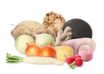 Image of Different root vegetables isolated on white. Onion bulbs, radishes, potato, turnips, celery roots, ginger